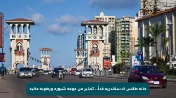 حالة طقس الإسكندرية غداً.. تحذير من موجة شبورة ورطوبة عالية